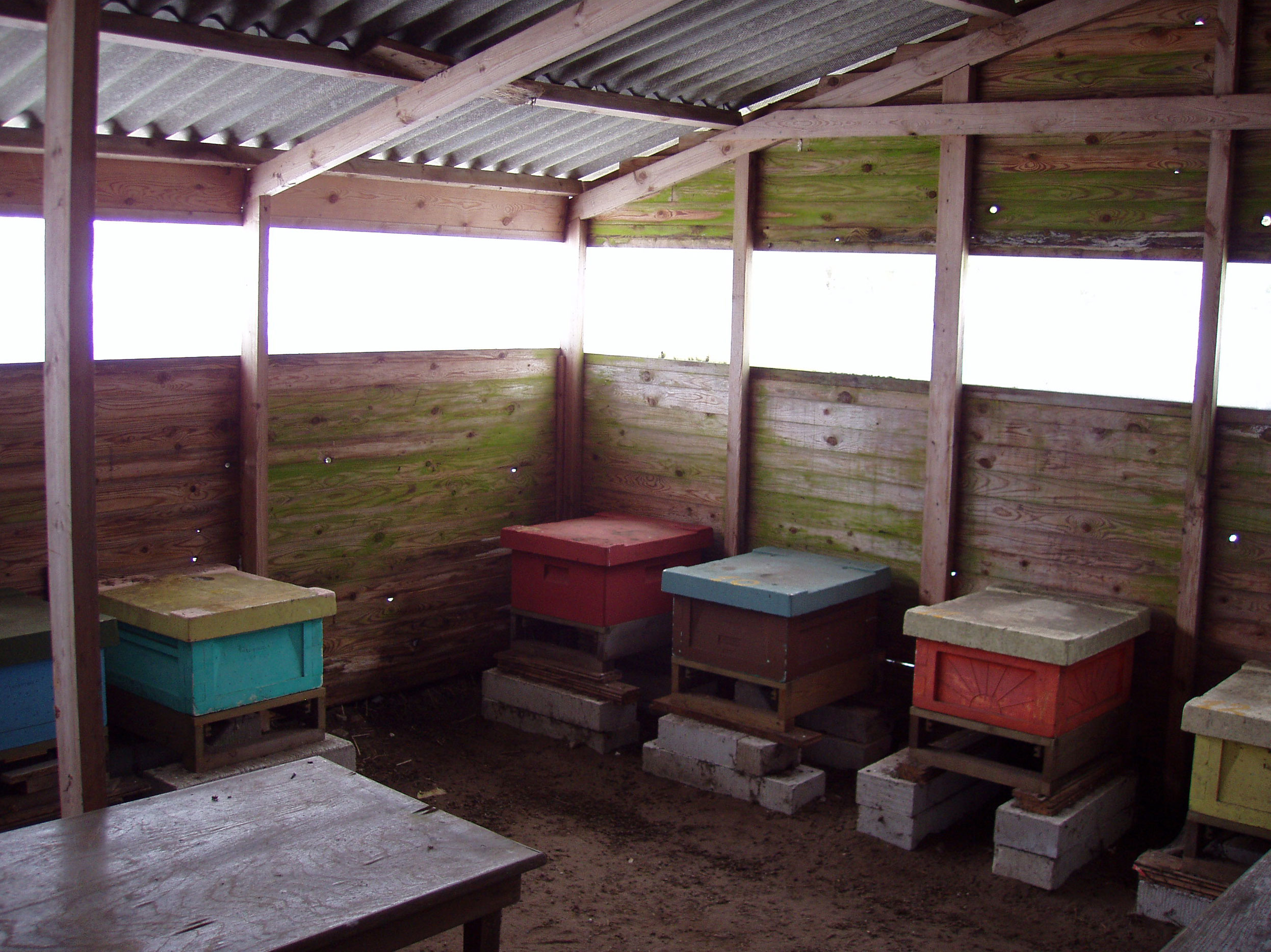 Bistader i pavillon