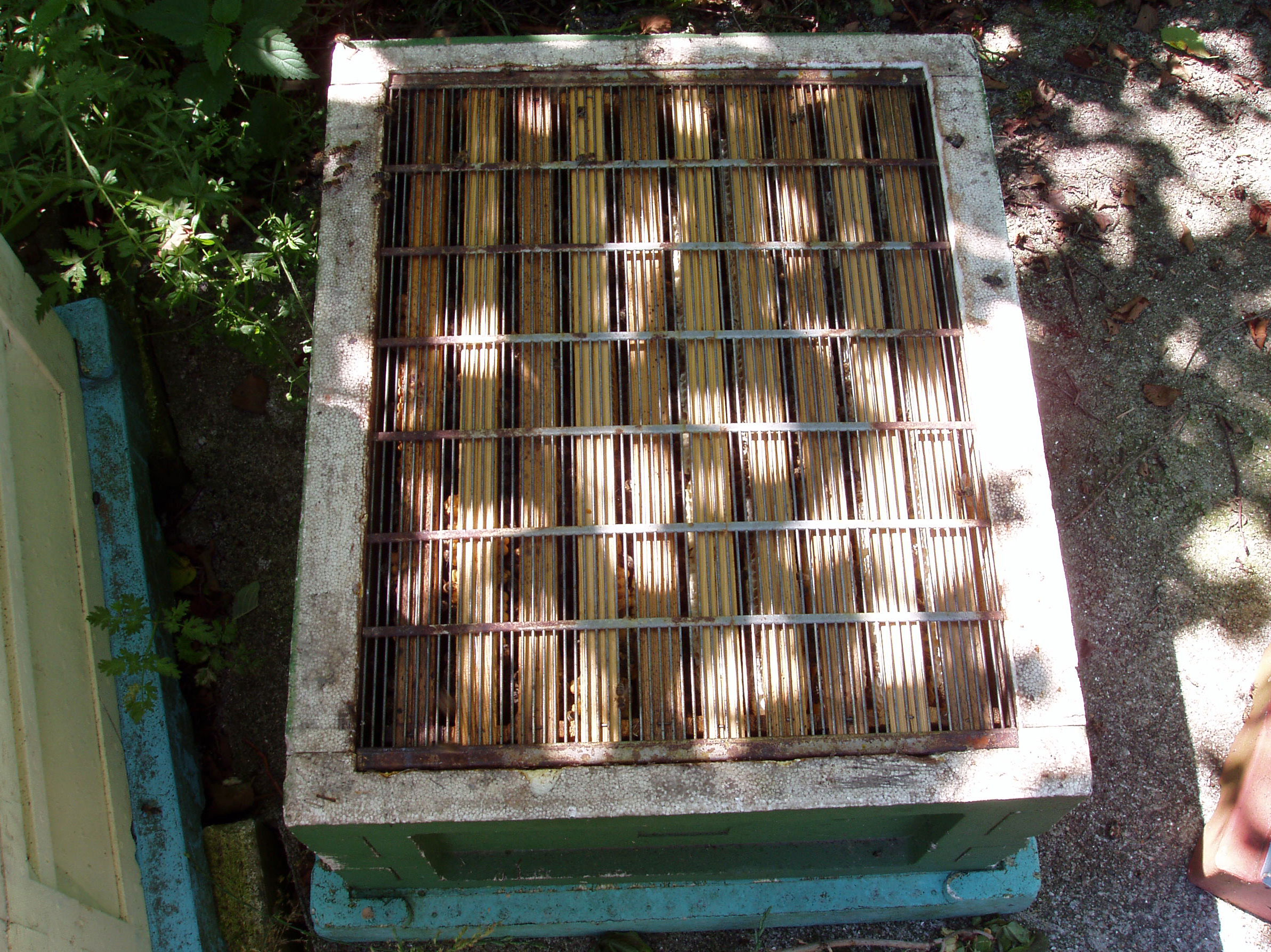 Dronninge gitter isættes.