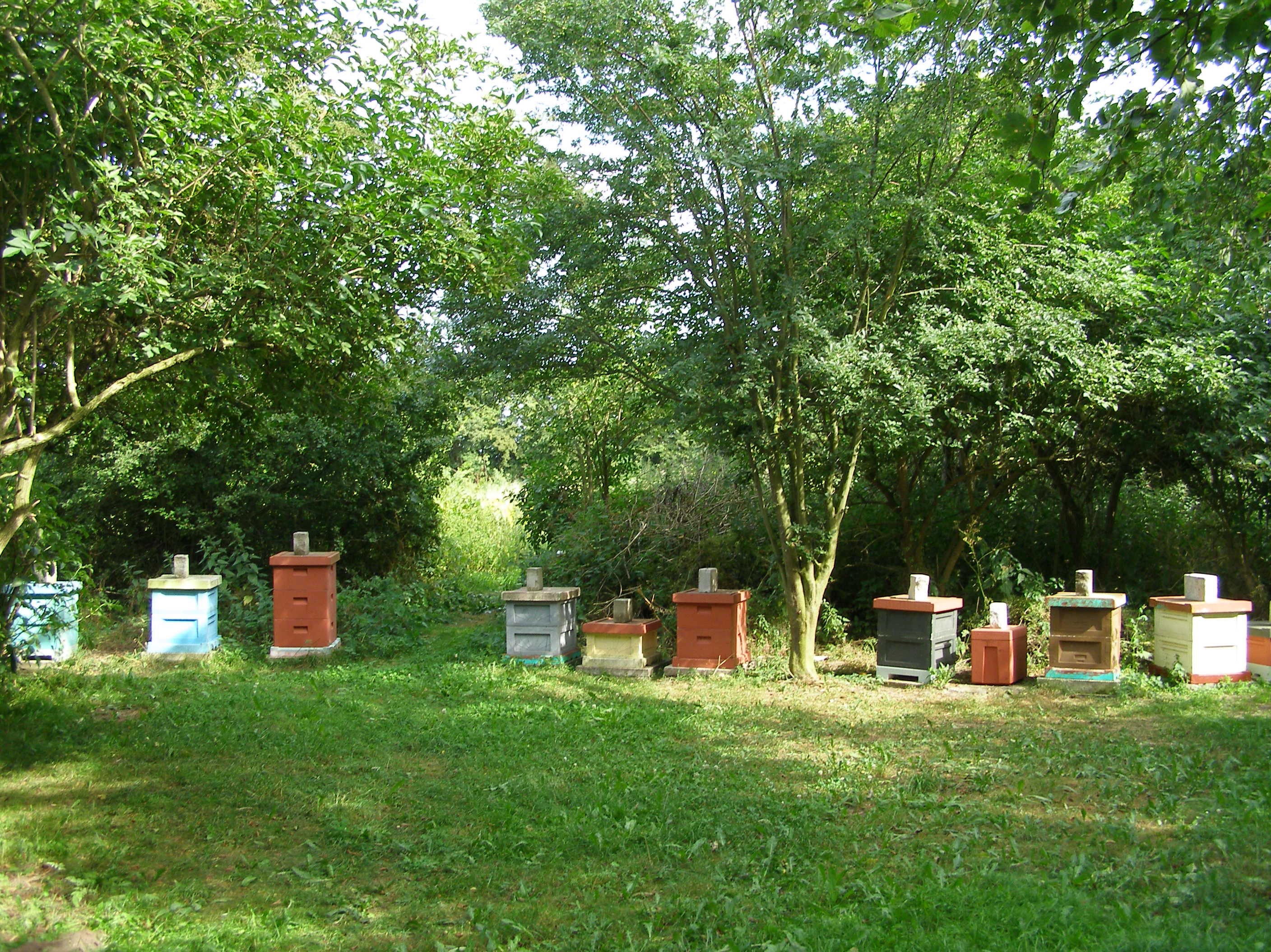 Bistade antallet er vokset.
