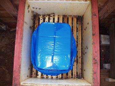15 kg Apifonda.