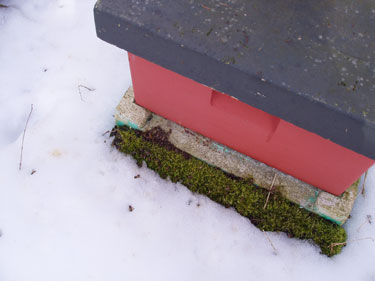 Vinterrengøring