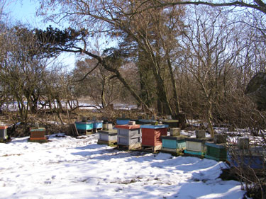 Bigården.