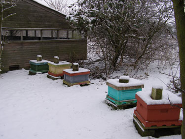 Vinter i bigården.
