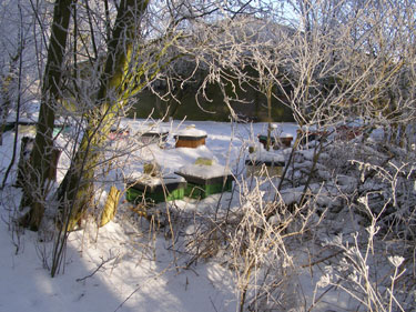 Vinter i bigården.