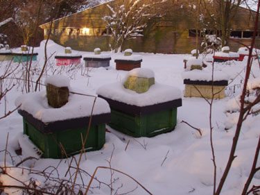 Nytår i bigården.